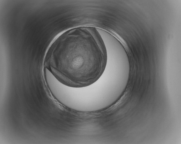 X0000113050956200909171538