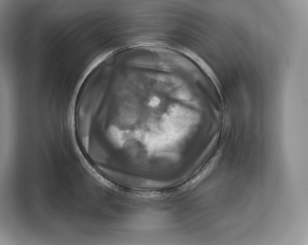 X0000113050957200909171538