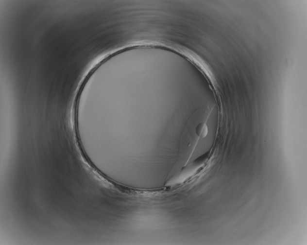 X0000113050958200909171538