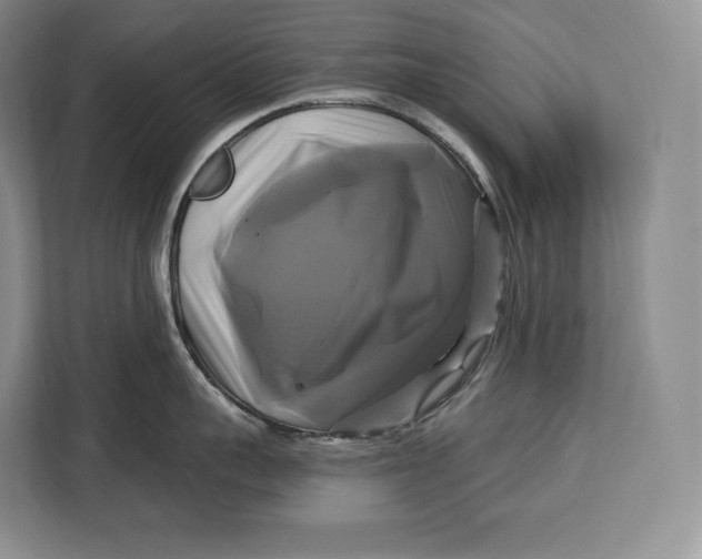 X0000113050959200909171538