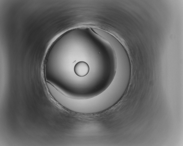 X0000113050960200909171538