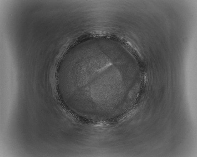 X0000113050961200909171538