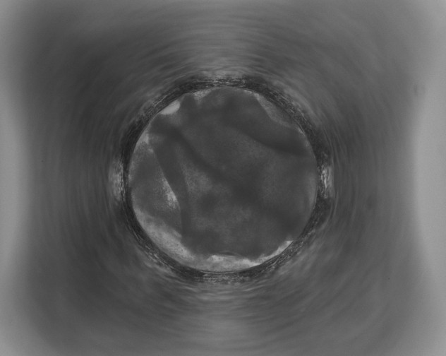 X0000113050963200909171538