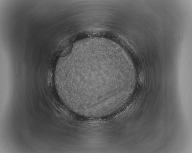 X0000113050964200909171538