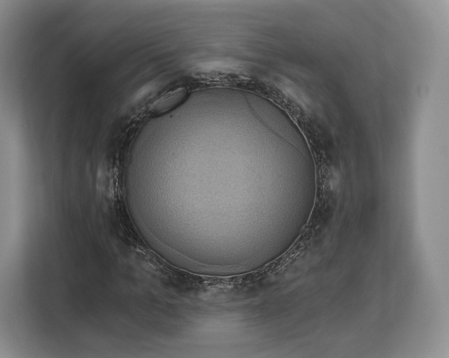 X0000113050965200909171538