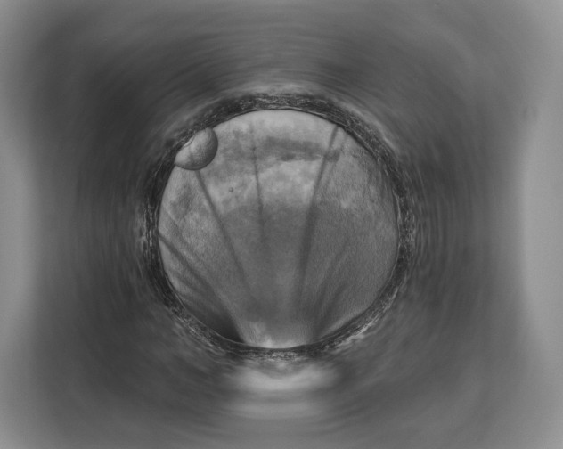 X0000113050966200909171538