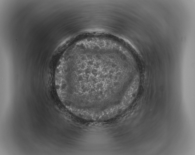 X0000113050967200909171538