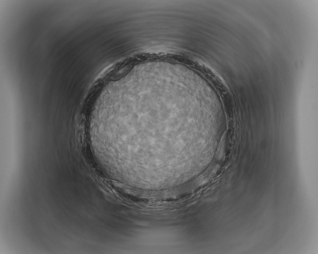 X0000113050968200909171538