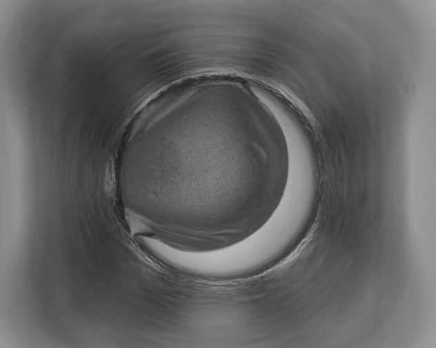 X0000113050969200909171538