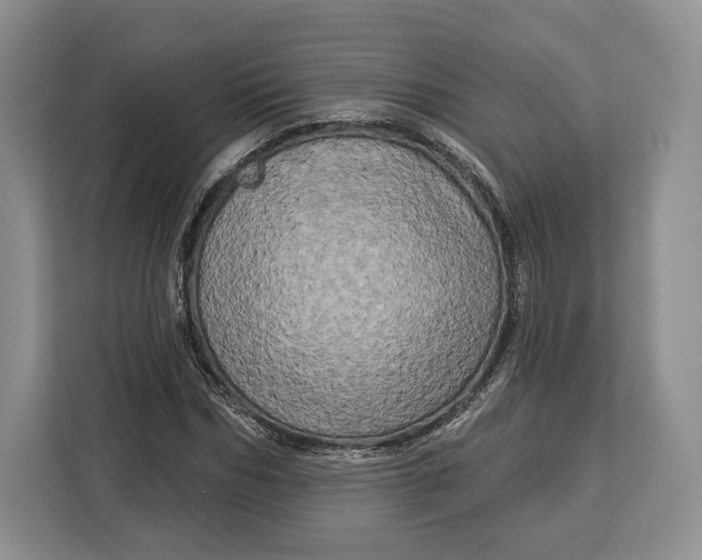 X0000113050970200909171538