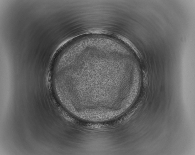 X0000113050971200909171538