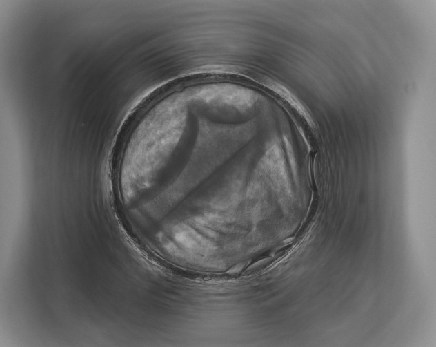 X0000113050972200909171538