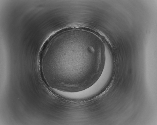 X0000113050973200909171538