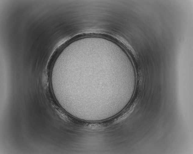 X0000113050974200909171538