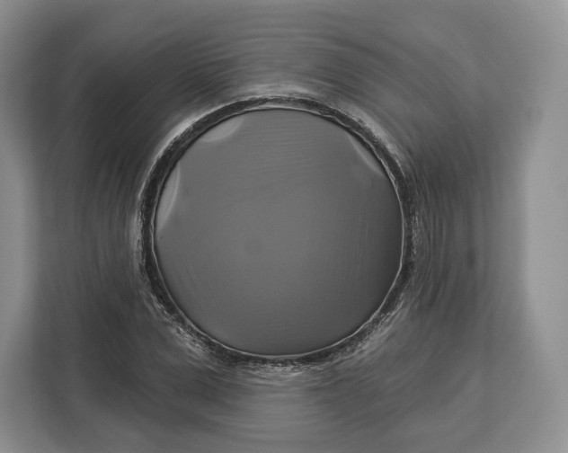 X0000113050975200909171538