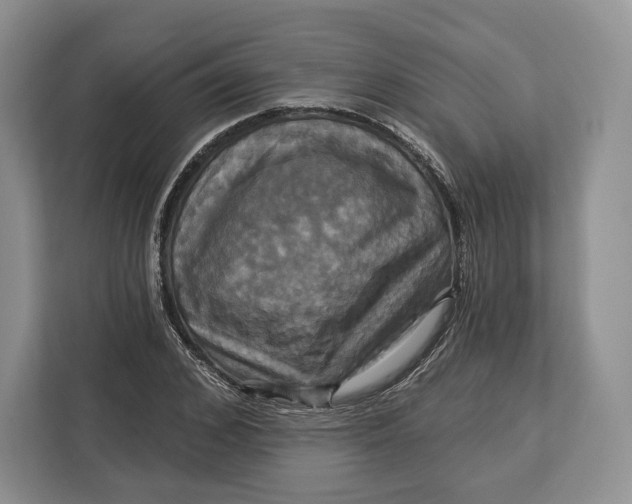 X0000113050976200909171538