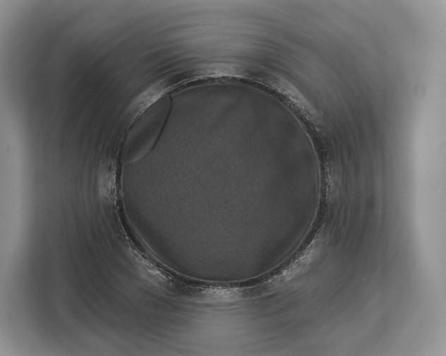 X0000113050977200909171538