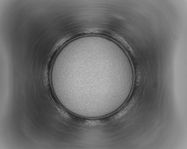 X0000113050978200909171538