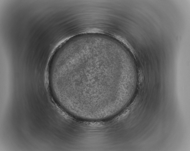 X0000113050979200909171538