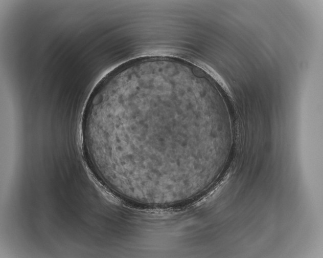 X0000113050980200909171537