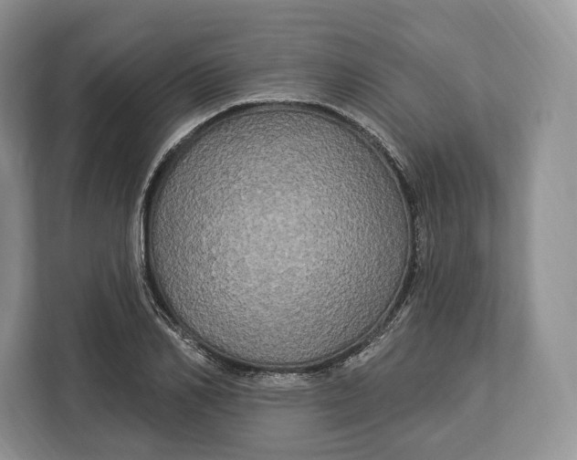 X0000113050982200909171537