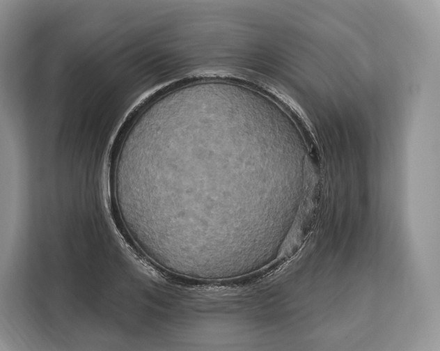 X0000113050984200909171537