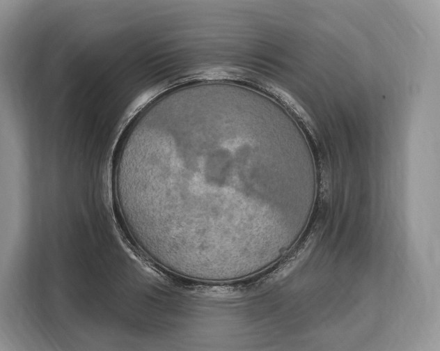 X0000113050986200909171537