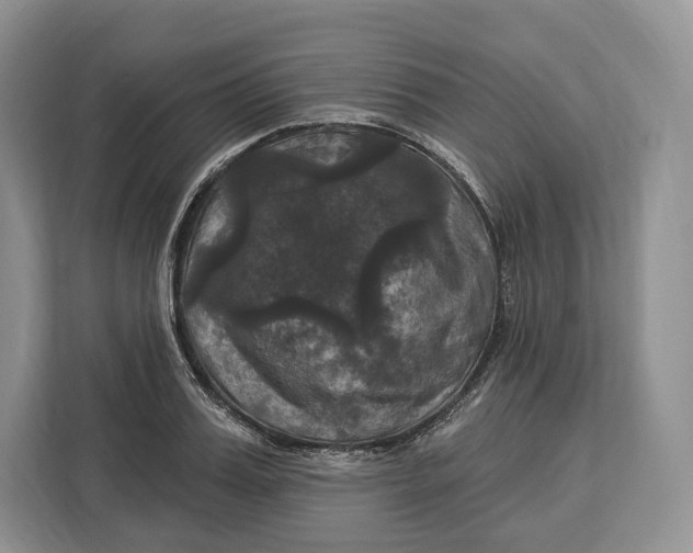 X0000113050987200909171537