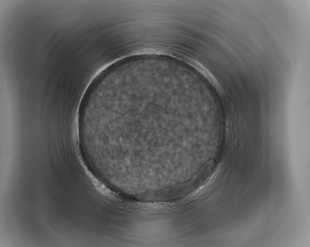 X0000113050988200909171537