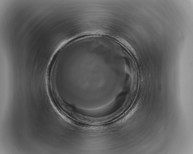 X0000113050989200909171537