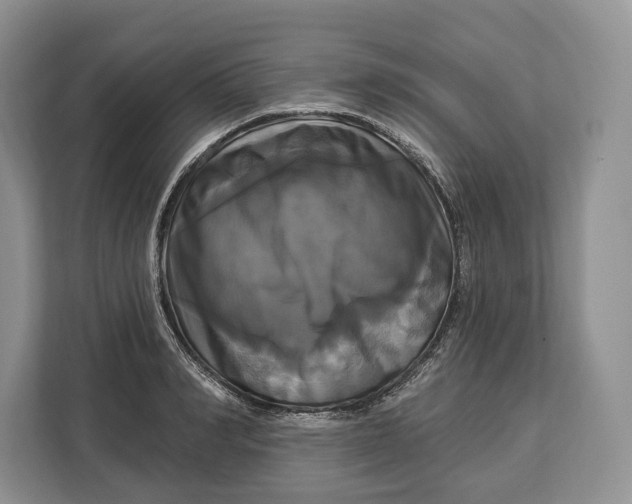 X0000113050990200909171537