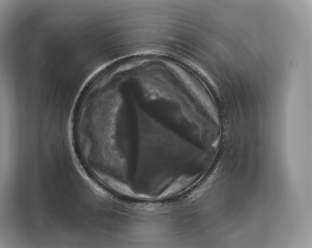 X0000113050991200909171537