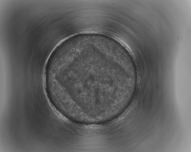 X0000113050992200909171537