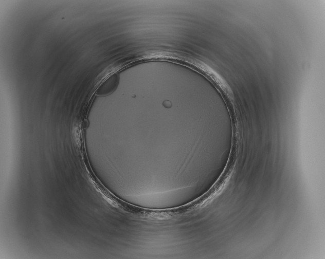 X0000113050993200909171537