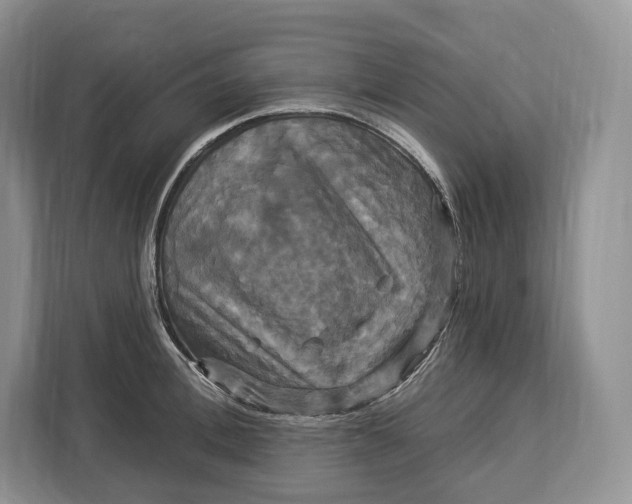 X0000113050996200909171537