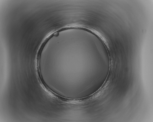 X0000113050998200909171537