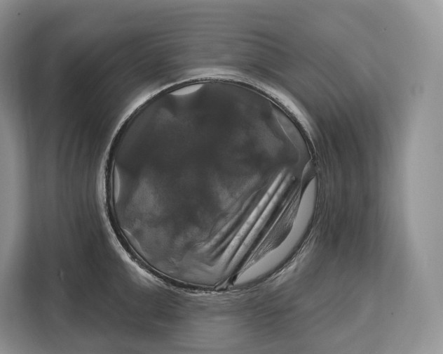 X0000113050999200909171537