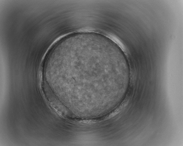 X0000113051000200909171537