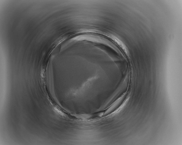 X0000113051001200909171537