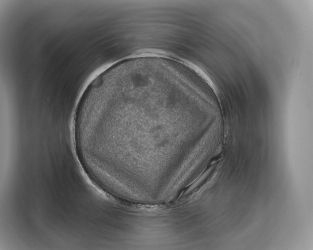 X0000113051003200909171537