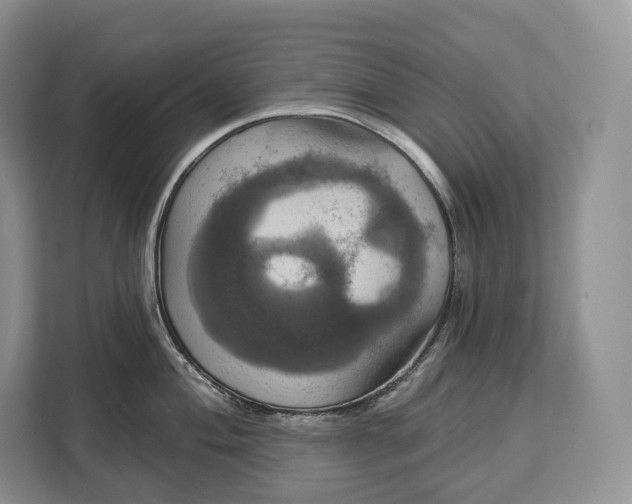 X0000113051004200909171537