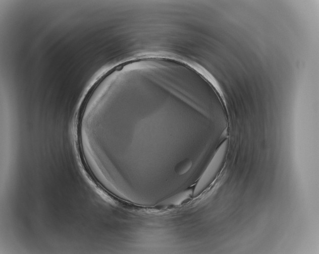 X0000113051005200909171537