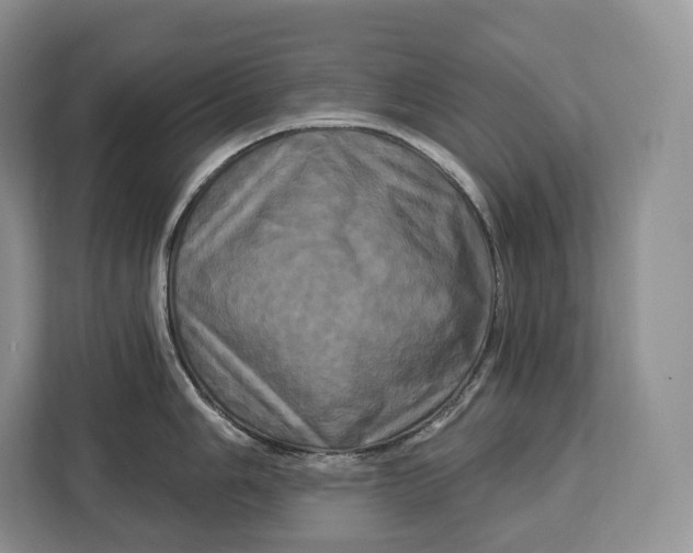 X0000113051006200909171537