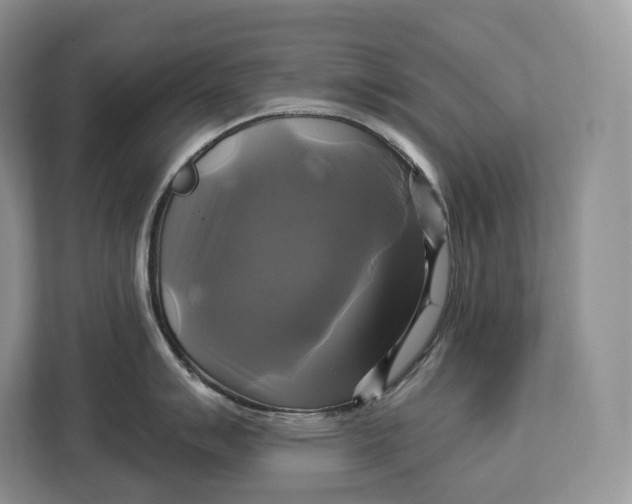 X0000113051007200909171537