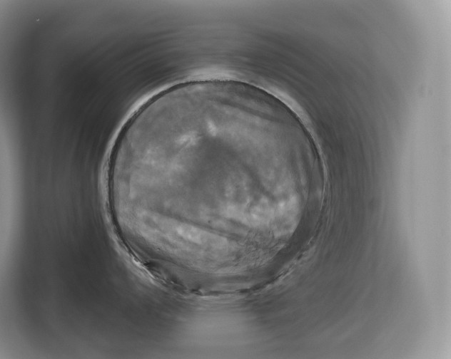 X0000113051008200909171537