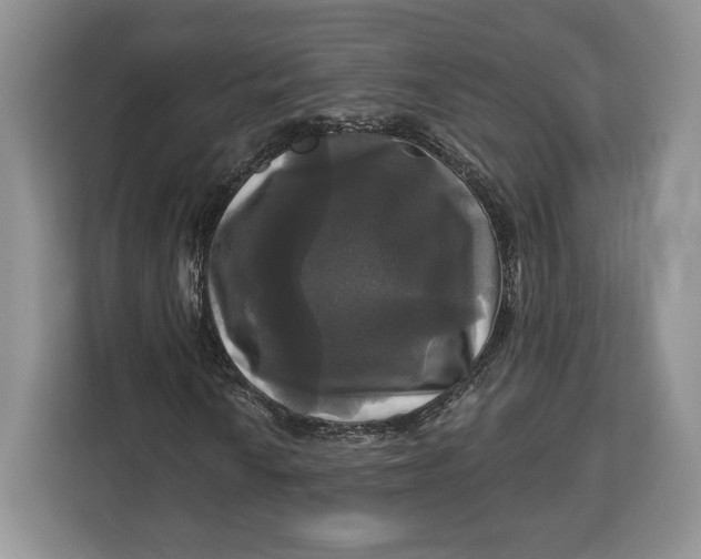 X0000113051010200909171537