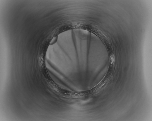 X0000113051011200909171537