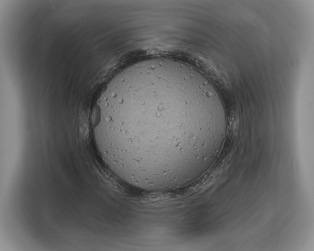 X0000113051012200909171537