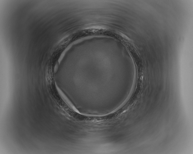 X0000113051014200909171537