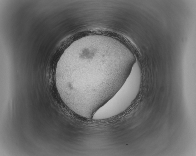 X0000113051016200909171537